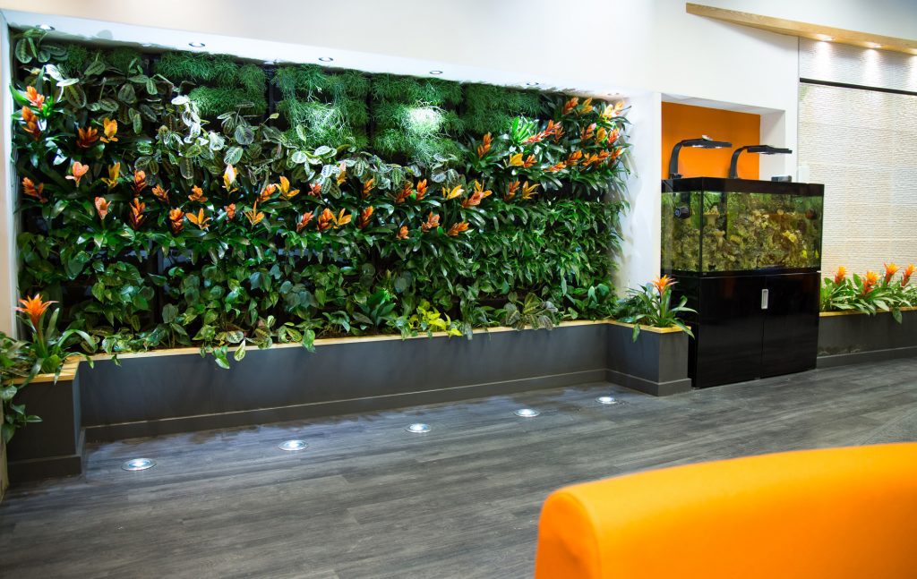 living walls for offices