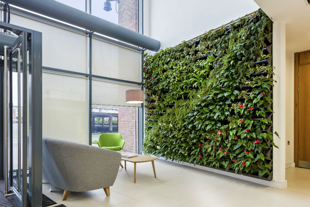 living wall