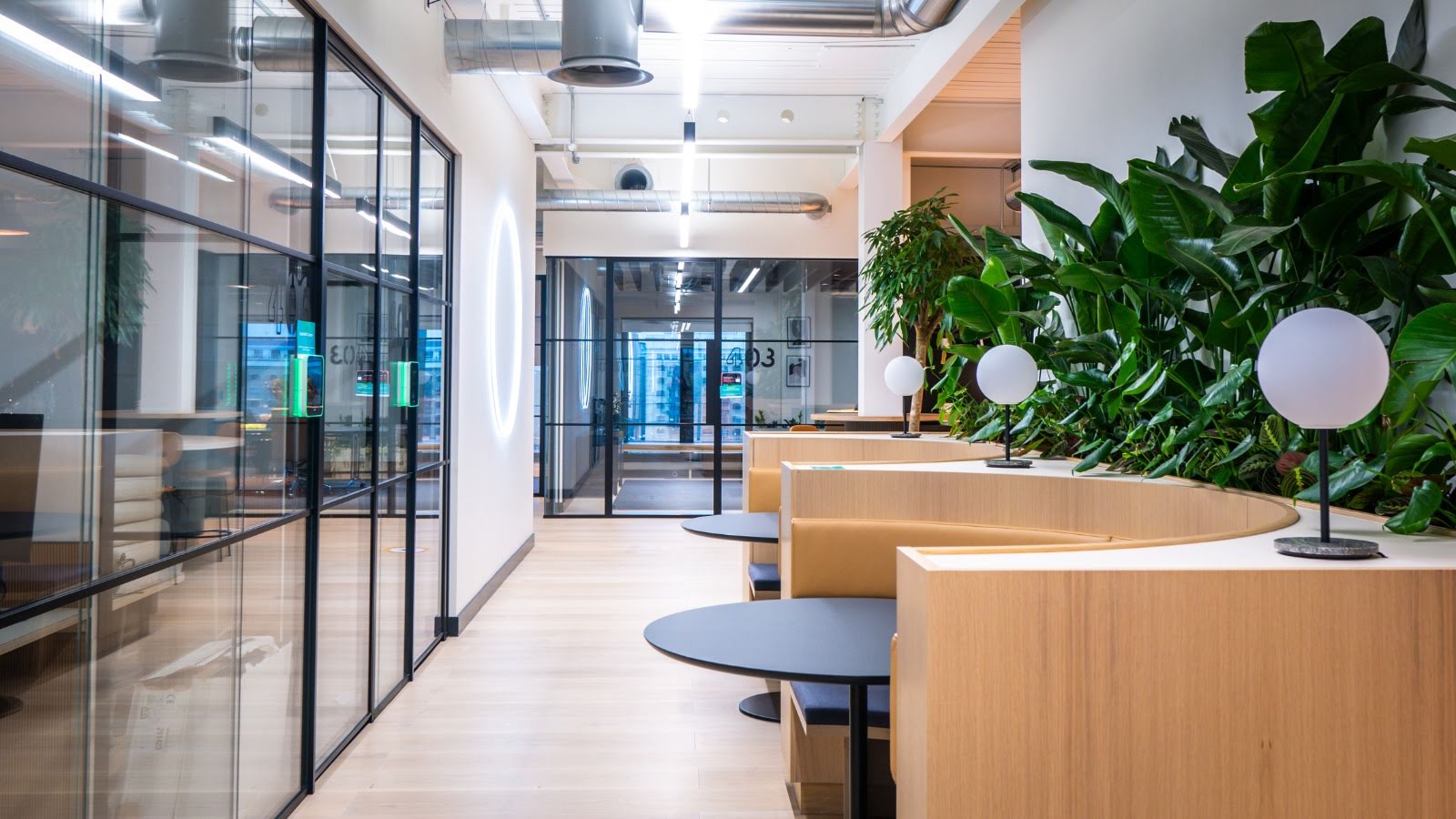 The fundamentals of biophilic design – Form Workplace Solutions